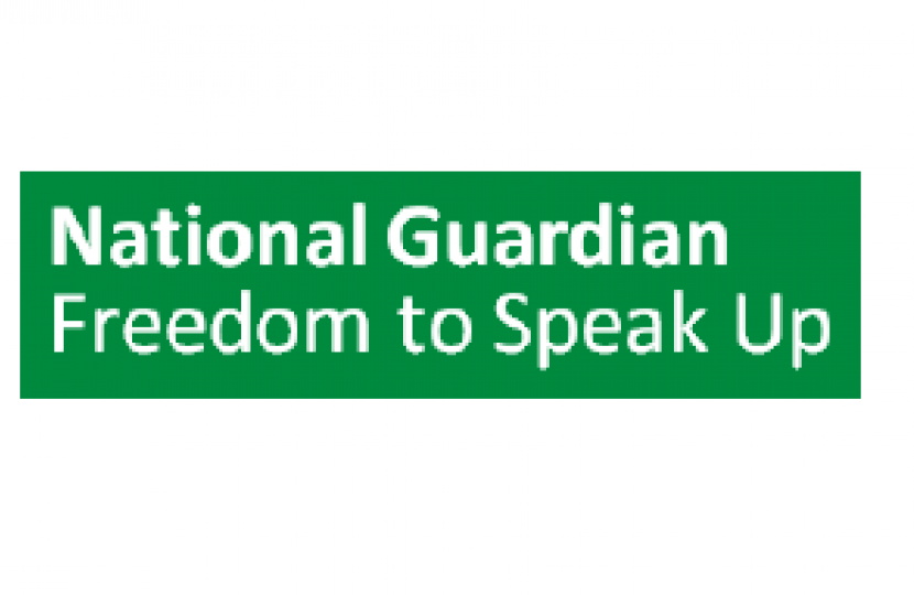 National Guardian - Freedom to Speak Up 