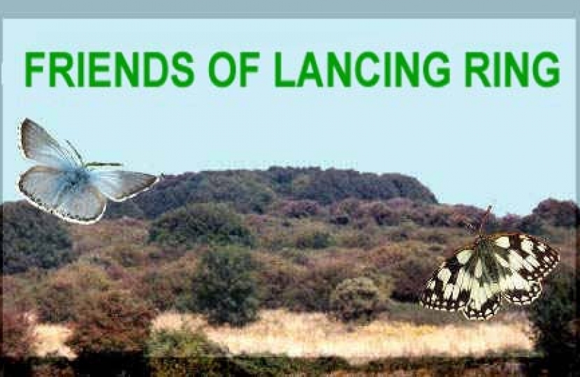 Friends of Lancing Ring Spring Newsletter