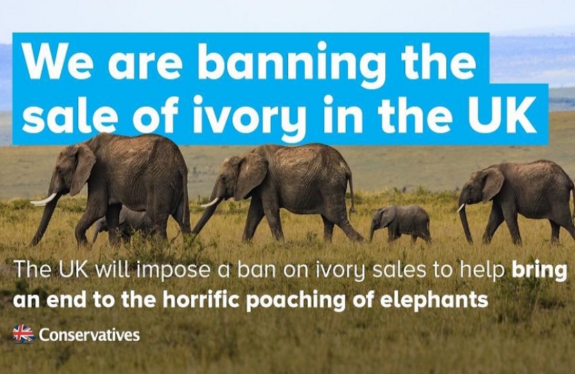 Banning the sale of ivory in the UK