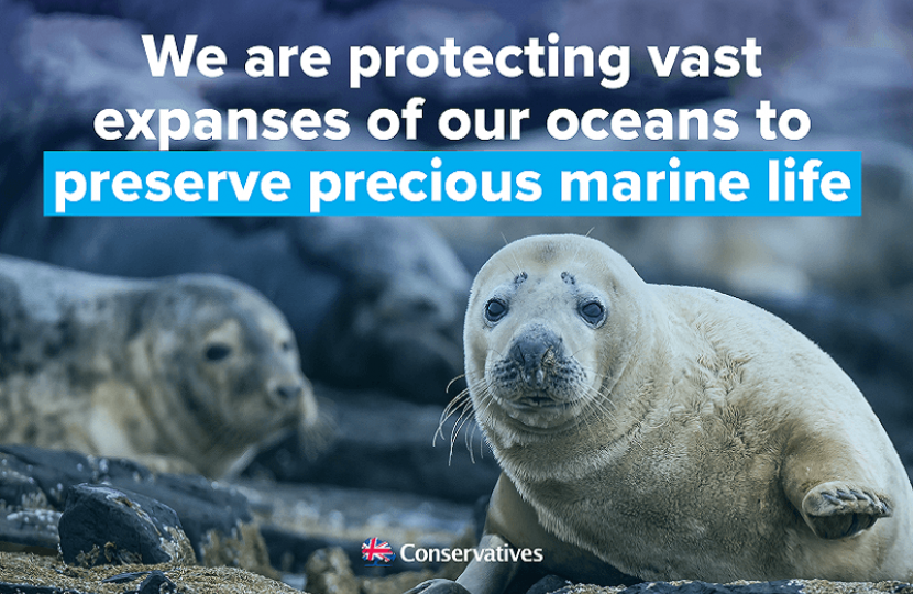 Preserving our precious marine life