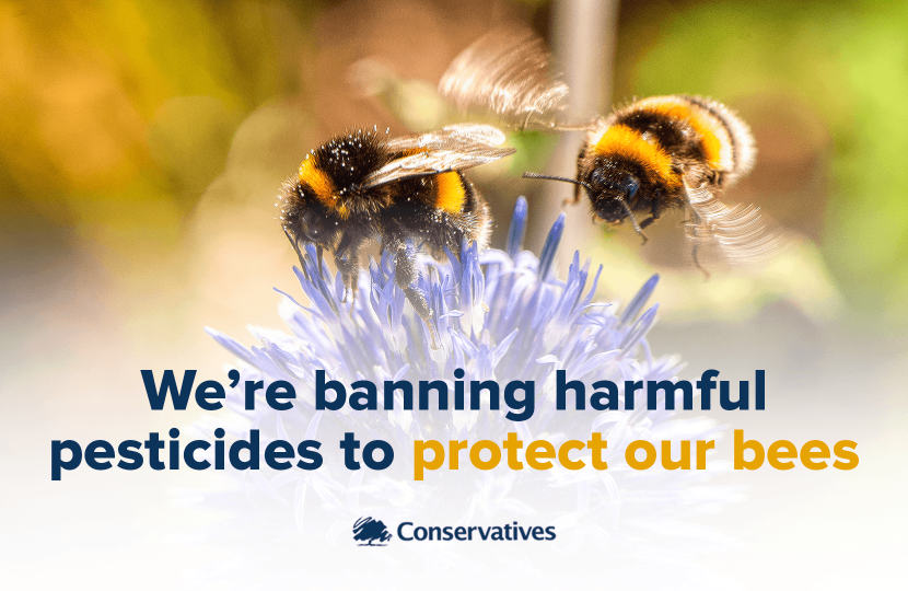 Banning harmful pesticides to protect our bees