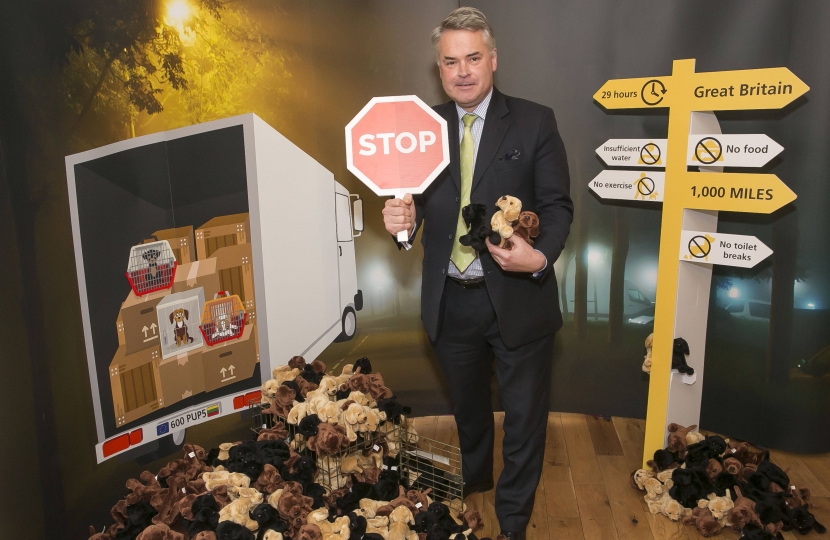 Tim Loughton MP helps dog welfare charity in fight against puppy smuggling