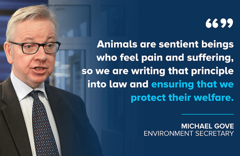 Environment Secretary publishes bill to strengthen animal welfare