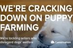 Banning third-party puppy sales