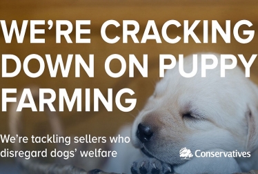 Banning third-party puppy sales