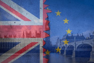 Brexit Position Paper 9: Privileges and immunities